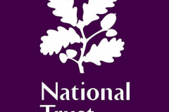 NT-logo-02-20180327120653929