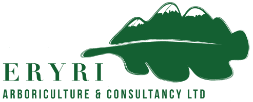 Eryri Arboriculture Ltd.